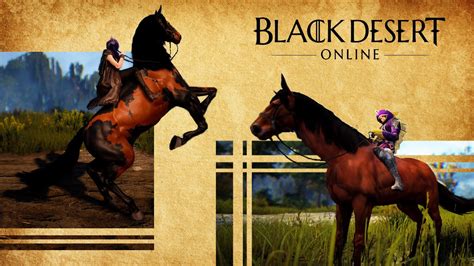 black desert breeding horses.